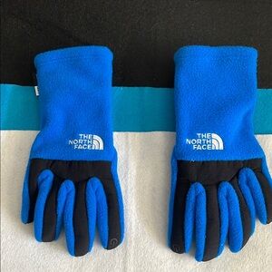 Kids The North Face Blue and Black Gloves
